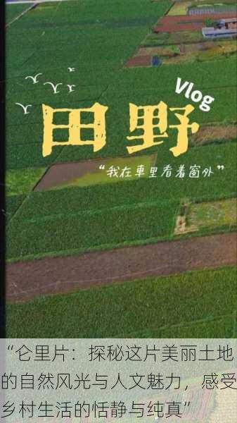 “仑里片：探秘这片美丽土地的自然风光与人文魅力，感受乡村生活的恬静与纯真”