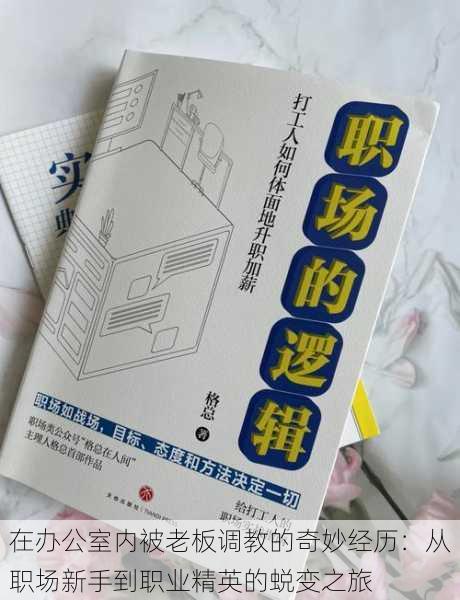 在办公室内被老板调教的奇妙经历：从职场新手到职业精英的蜕变之旅