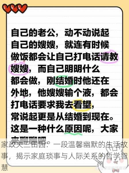 家政夫三田园：一段温馨幽默的生活故事，揭示家庭琐事与人际关系的哲学智慧