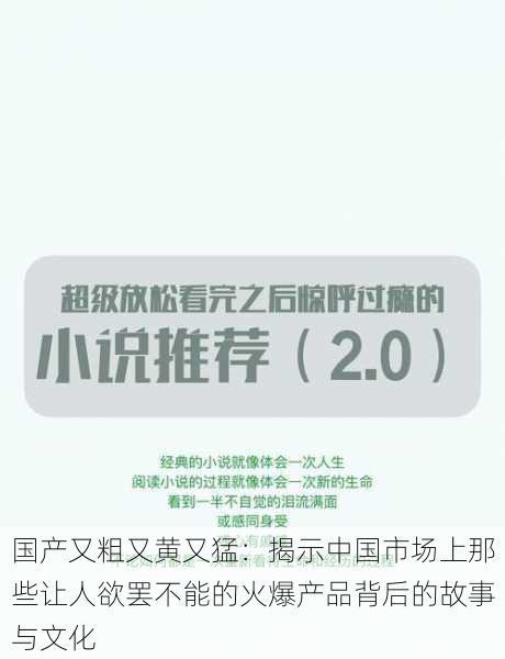 国产又粗又黄又猛：揭示中国市场上那些让人欲罢不能的火爆产品背后的故事与文化