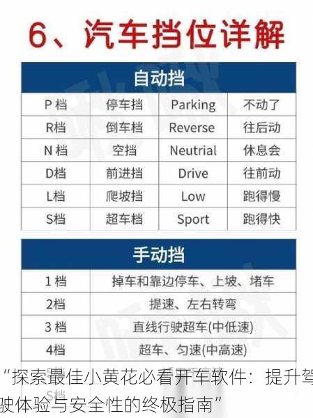 “探索最佳小黄花必看开车软件：提升驾驶体验与安全性的终极指南”