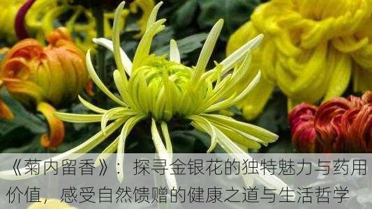 《菊内留香》：探寻金银花的独特魅力与药用价值，感受自然馈赠的健康之道与生活哲学