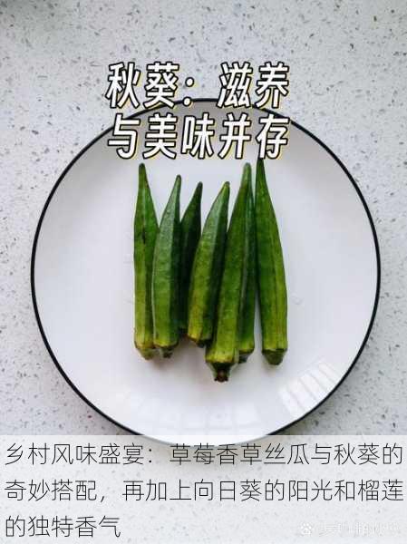 乡村风味盛宴：草莓香草丝瓜与秋葵的奇妙搭配，再加上向日葵的阳光和榴莲的独特香气