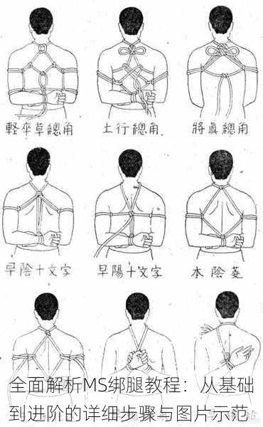 全面解析MS绑腿教程：从基础到进阶的详细步骤与图片示范