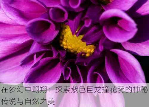 在梦幻中翱翔：探索紫色巨龙撞花蕊的神秘传说与自然之美