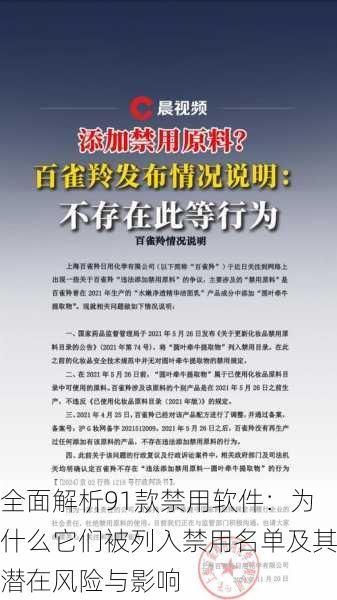 全面解析91款禁用软件：为什么它们被列入禁用名单及其潜在风险与影响