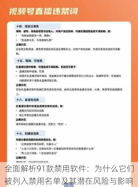 全面解析91款禁用软件：为什么它们被列入禁用名单及其潜在风险与影响