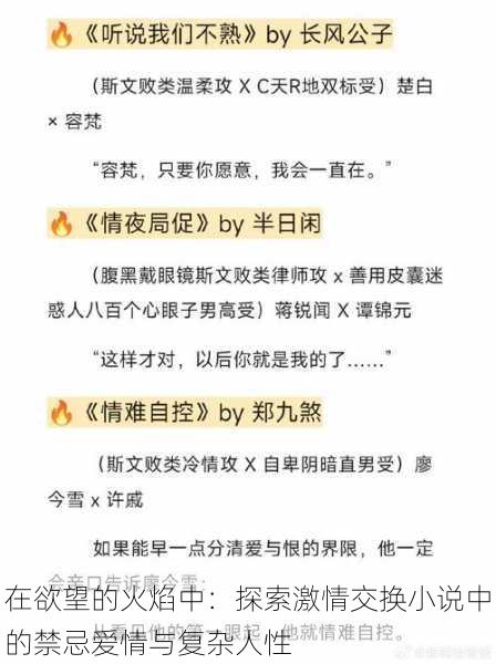 在欲望的火焰中：探索激情交换小说中的禁忌爱情与复杂人性