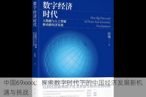 中国69xxxx：探索数字时代下的中国经济发展新机遇与挑战