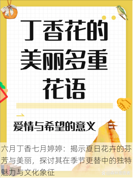 六月丁香七月婷婷：揭示夏日花卉的芬芳与美丽，探讨其在季节更替中的独特魅力与文化象征