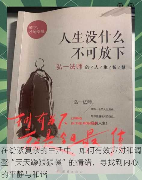 在纷繁复杂的生活中，如何有效应对和调整“天天躁狠狠躁”的情绪，寻找到内心的平静与和谐