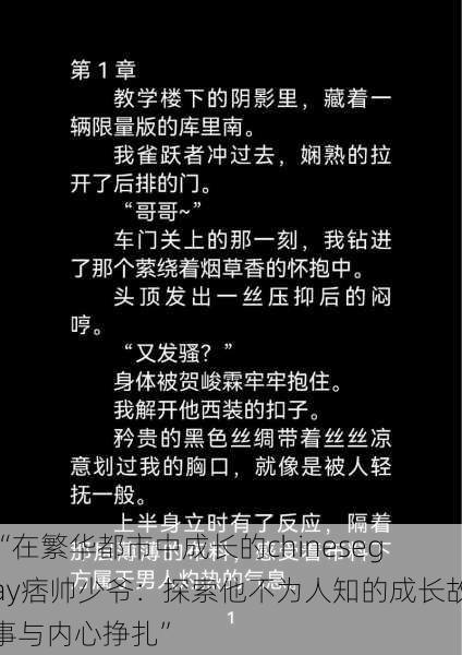 “在繁华都市中成长的chinesegay痞帅少爷：探索他不为人知的成长故事与内心挣扎”