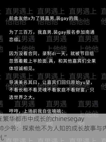 “在繁华都市中成长的chinesegay痞帅少爷：探索他不为人知的成长故事与内心挣扎”