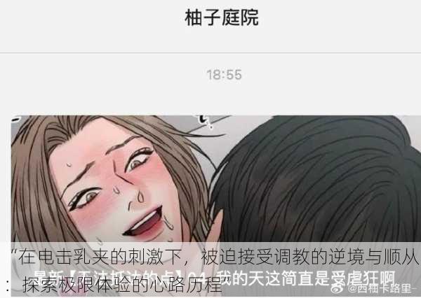 “在电击乳夹的刺激下，被迫接受调教的逆境与顺从：探索极限体验的心路历程”