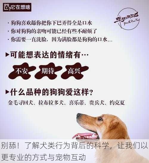 别舔！了解犬类行为背后的科学，让我们以更专业的方式与宠物互动