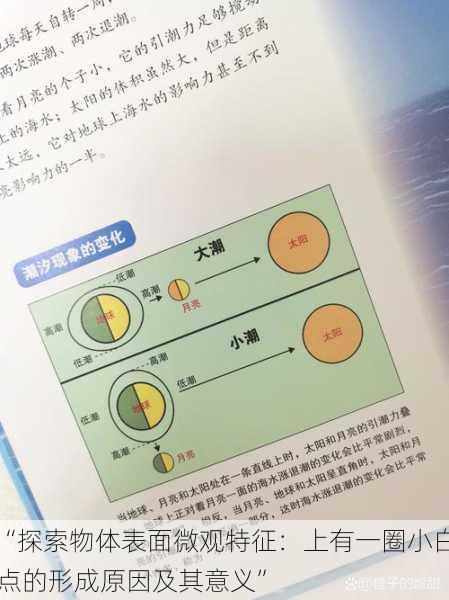 “探索物体表面微观特征：上有一圈小白点的形成原因及其意义”