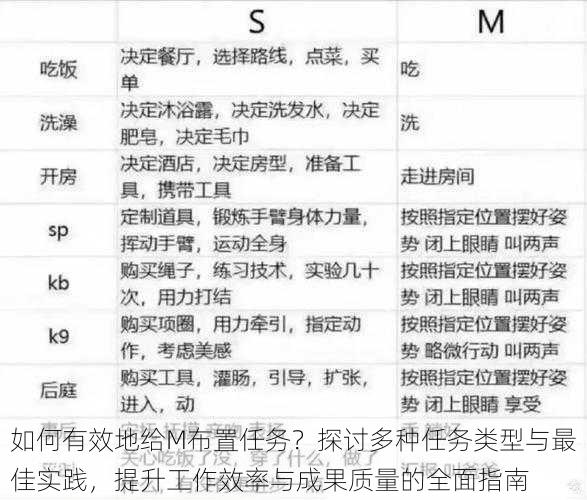 如何有效地给M布置任务？探讨多种任务类型与最佳实践，提升工作效率与成果质量的全面指南