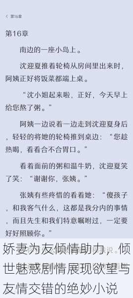 娇妻为友倾情助力，倾世魅惑剧情展现欲望与友情交错的绝妙小说