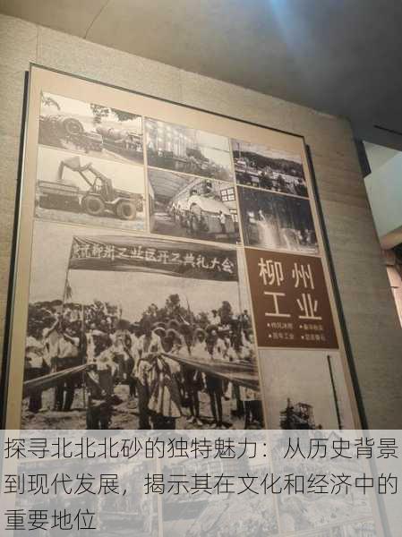 探寻北北北砂的独特魅力：从历史背景到现代发展，揭示其在文化和经济中的重要地位