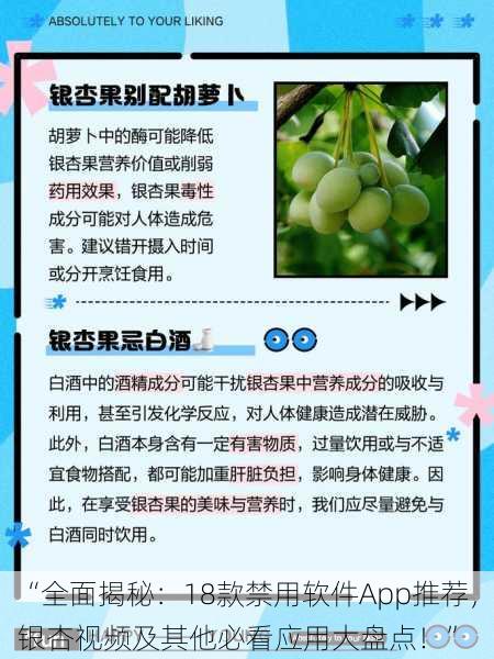 “全面揭秘：18款禁用软件App推荐，银杏视频及其他必看应用大盘点！”