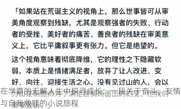 在学霸的无解人生中探寻成长：一段关于奋斗、友情与自我救赎的小说旅程