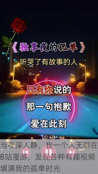 当夜深人静，我一个人无聊在B站漫游，发现各种有趣视频填满我的孤单时光