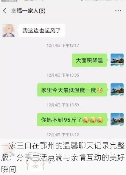 一家三口在鄂州的温馨聊天记录完整版：分享生活点滴与亲情互动的美好瞬间