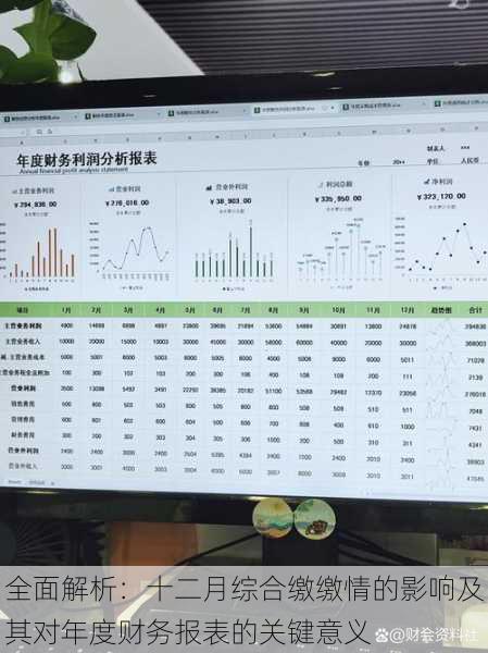 全面解析：十二月综合缴缴情的影响及其对年度财务报表的关键意义