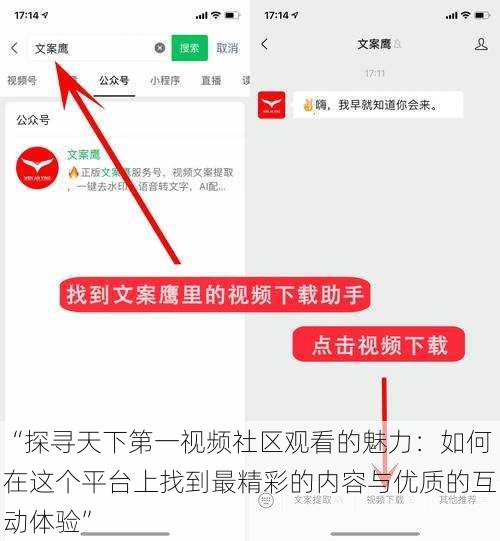“探寻天下第一视频社区观看的魅力：如何在这个平台上找到最精彩的内容与优质的互动体验”