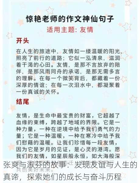 张爽与淑芬的故事：发现友谊与人生的真谛，探索她们的成长与奋斗历程