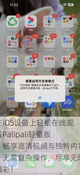 在iOS设备上轻松在线观看Palipali轻量版，畅享高清视频与独特内容，无需复杂操作，尽享无限精彩！