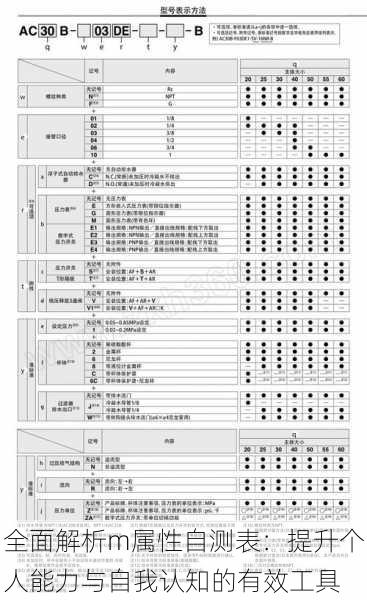 全面解析m属性自测表：提升个人能力与自我认知的有效工具