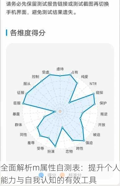 全面解析m属性自测表：提升个人能力与自我认知的有效工具