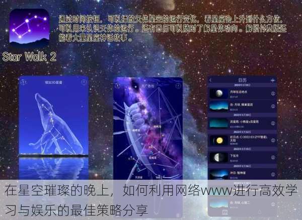 在星空璀璨的晚上，如何利用网络www进行高效学习与娱乐的最佳策略分享