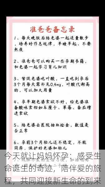 今天就让妈妈怀孕：感受生命诞生的奇迹，陪伴爱的旅程，共同迎接新生命的到来