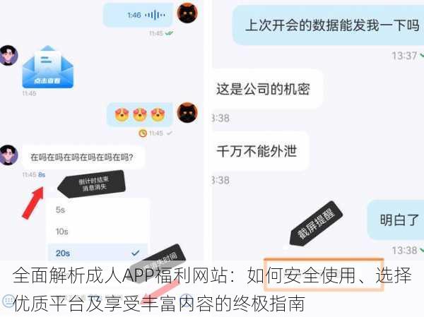 全面解析成人APP福利网站：如何安全使用、选择优质平台及享受丰富内容的终极指南