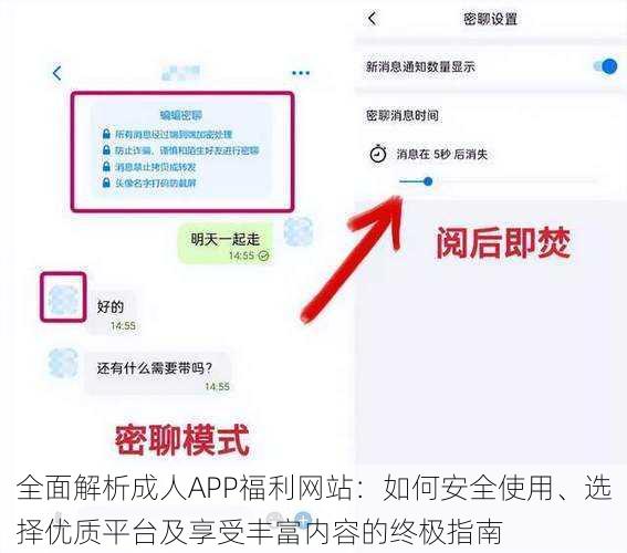 全面解析成人APP福利网站：如何安全使用、选择优质平台及享受丰富内容的终极指南