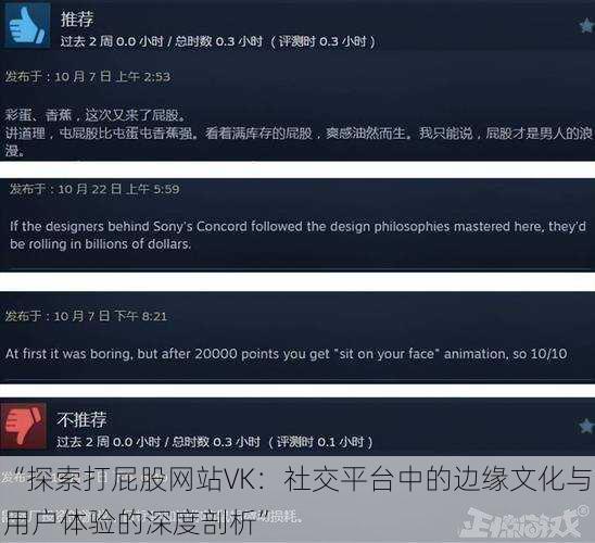 “探索打屁股网站VK：社交平台中的边缘文化与用户体验的深度剖析”