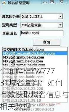 全面解析YW77731域名查询：如何有效获取域名信息与相关数据