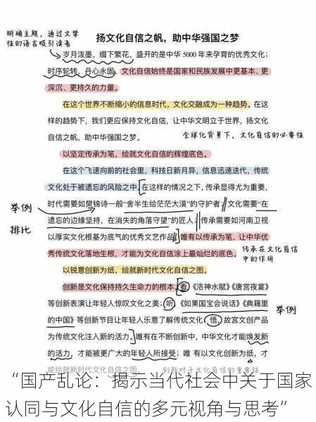 “国产乱论：揭示当代社会中关于国家认同与文化自信的多元视角与思考”