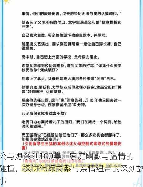 公与媳系列100集：家庭幽默与温情的碰撞，探讨代际关系与亲情纽带的深刻故事