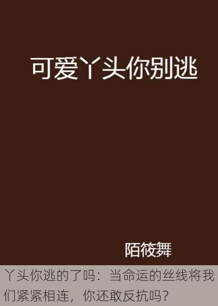 丫头你逃的了吗：当命运的丝线将我们紧紧相连，你还敢反抗吗？