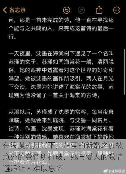 在浪漫的月光下，芷莹的新婚之夜被意外的激情所打破，她与爱人的激情邂逅让人难以忘怀