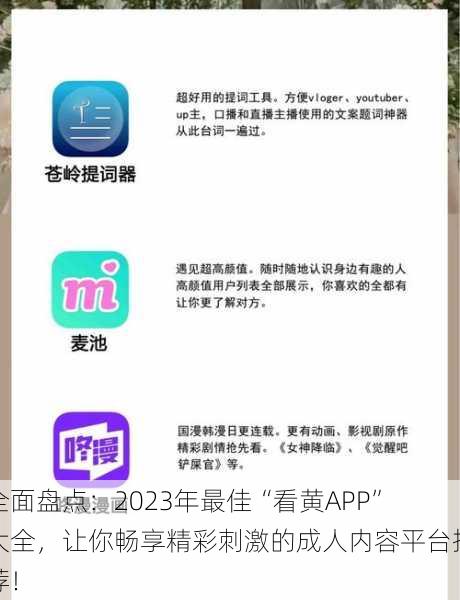 全面盘点：2023年最佳“看黄APP”大全，让你畅享精彩刺激的成人内容平台推荐！