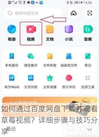 如何通过百度网盘下载并观看草莓视频？详细步骤与技巧分享