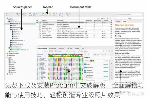 免费下载及安装Proburn中文破解版：全面解锁功能与使用技巧，轻松创造专业级照片效果