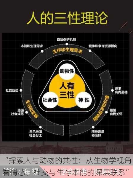 “探索人与动物的共性：从生物学视角看情感、社交与生存本能的深层联系”