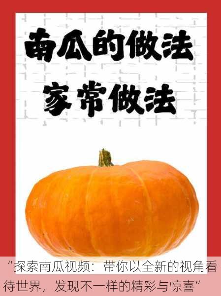 “探索南瓜视频：带你以全新的视角看待世界，发现不一样的精彩与惊喜”