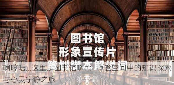 啊哼唔…这里是图书馆啊h：静谧空间中的知识探索与心灵宁静之旅