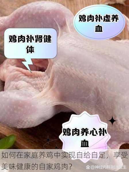 如何在家庭养鸡中实现自给自足，享受美味健康的自家鸡肉？